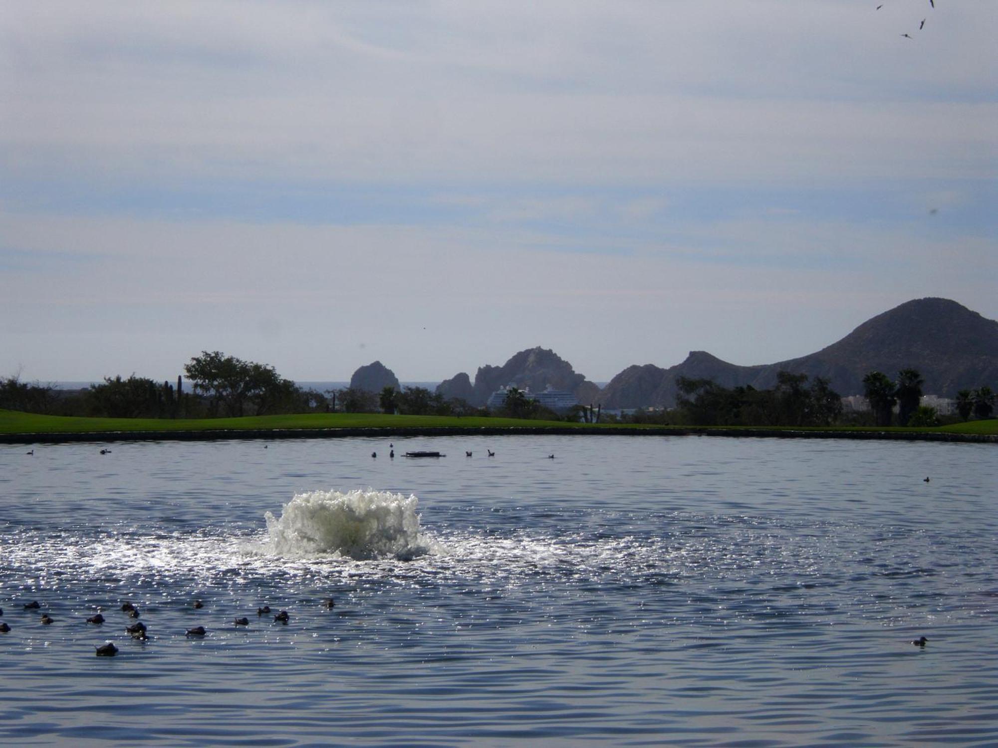 Los Cabos Golf Resort, Trademark Collection By Wyndham 卡波圣卢卡斯 外观 照片