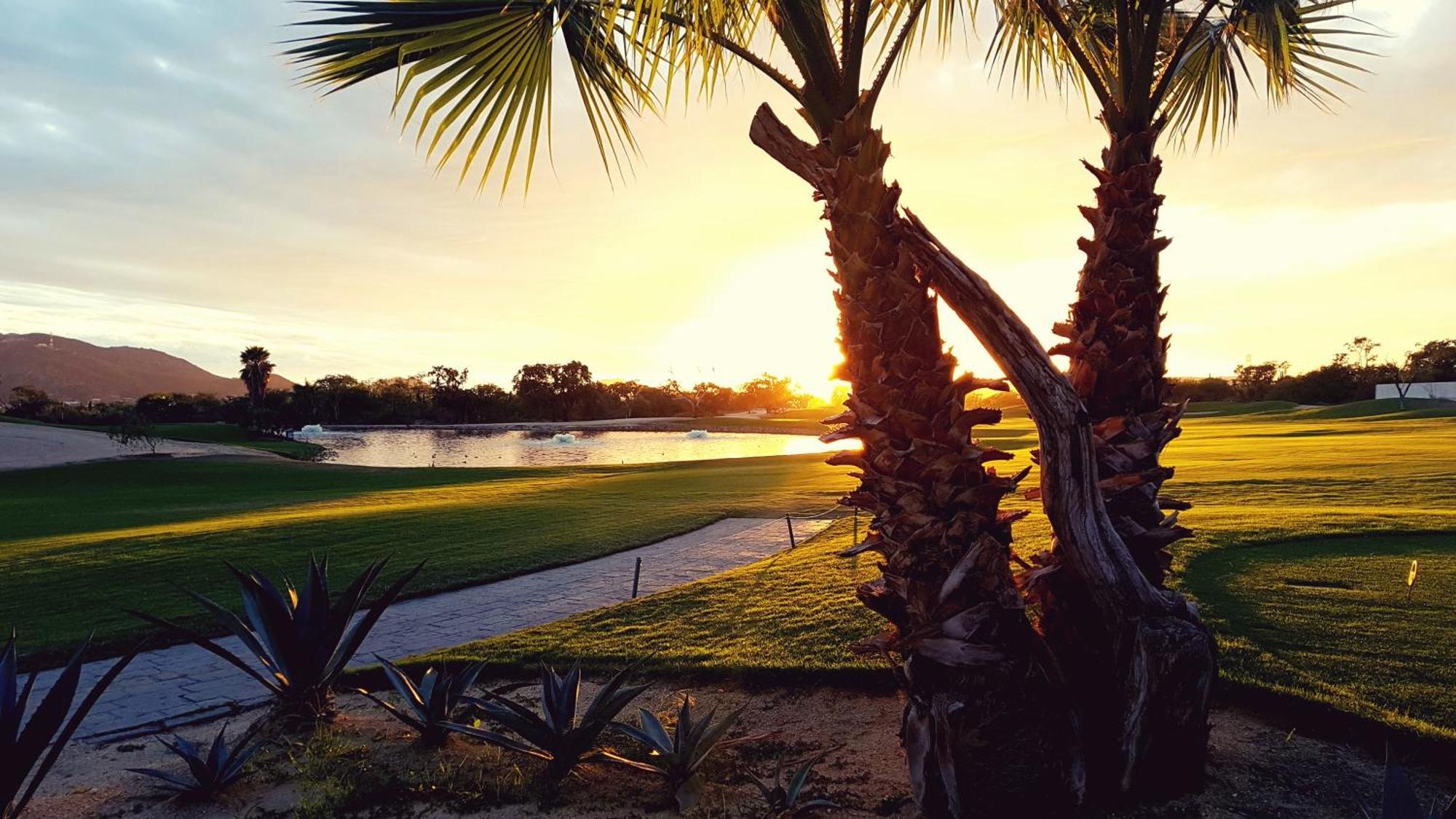 Los Cabos Golf Resort, Trademark Collection By Wyndham 卡波圣卢卡斯 外观 照片